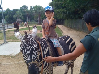 ���q�A���܂��܂ɏ�n���B