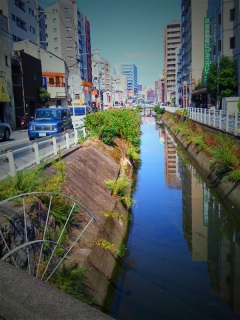 VC悷Ȃ[B