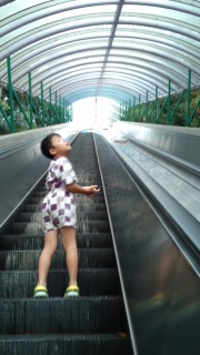 2011.8.13